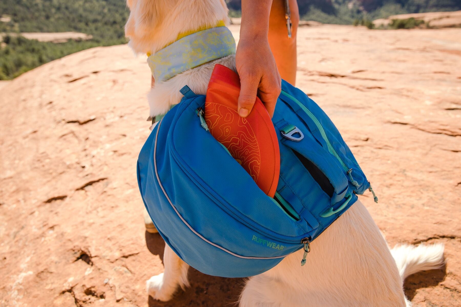 Approach™ Pack (Ruffwear) - SnowPaw Store - Ruffwear - Active Dog Gear